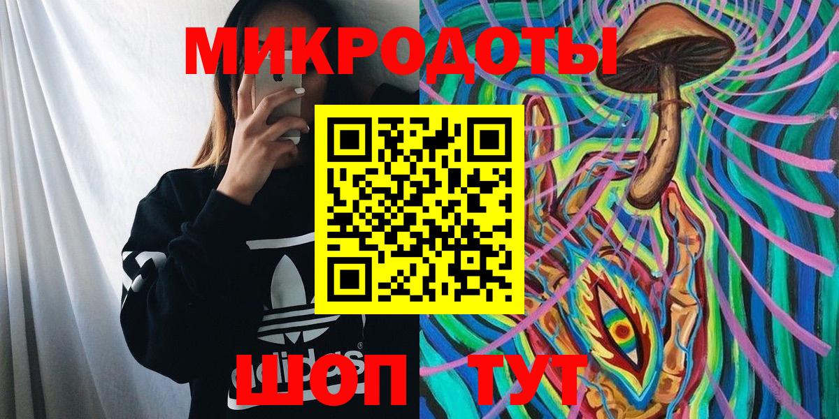 Галлюциногенные грибы Psilocybe Балтийск