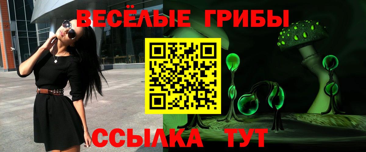 Балтийск  Псилоцибиновые грибы мицелий  Вход с VPN 